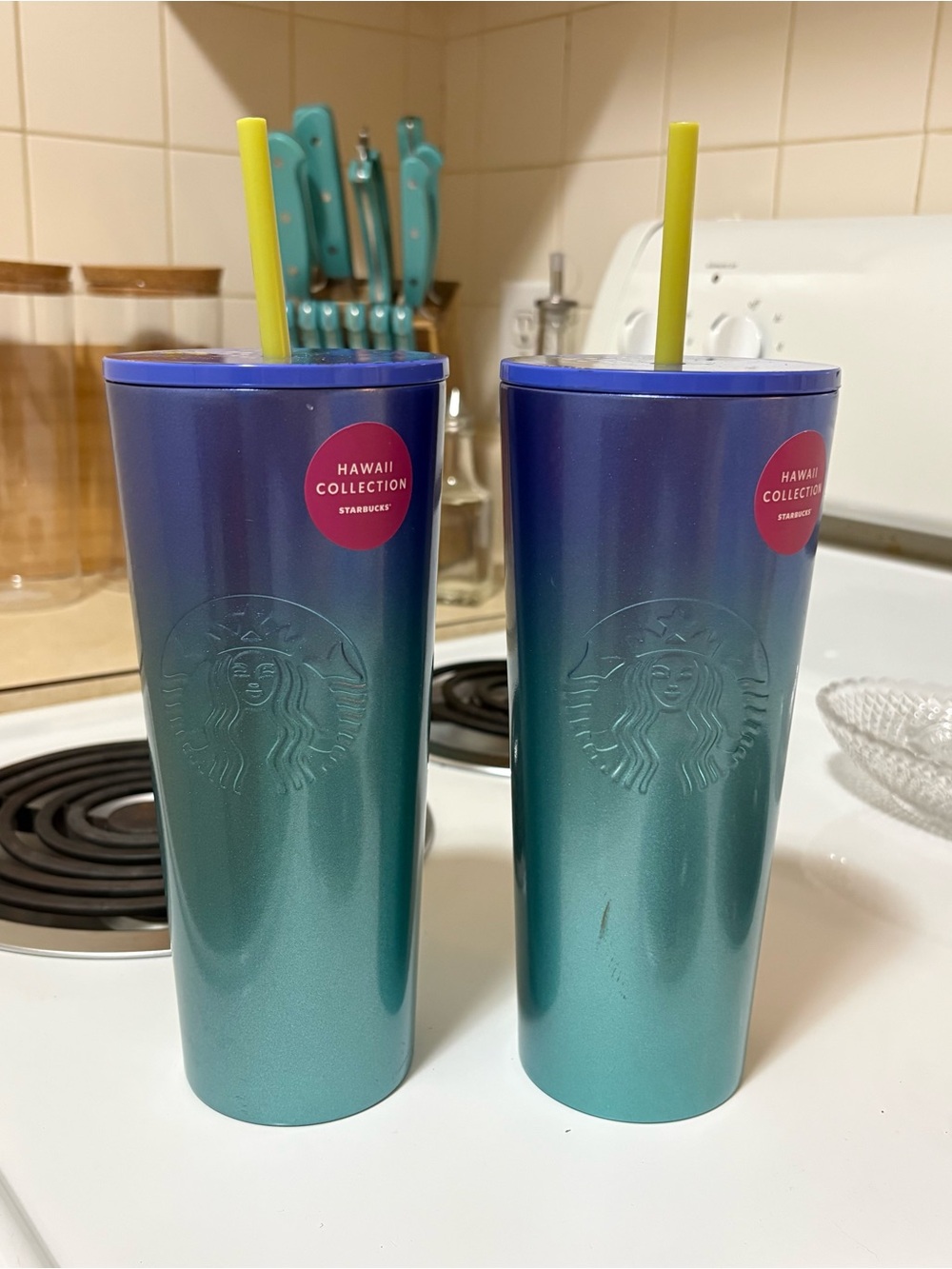 Starbucks Ombre Blue-Green Stainless Twin Tumblers with Yellow Straws